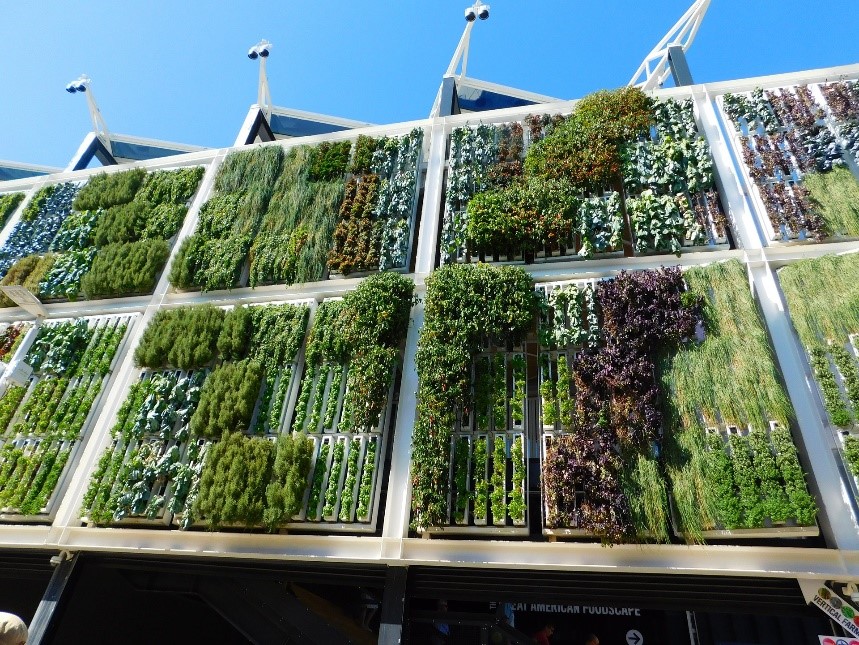 jardinage vertical : façade végétalisée avec panneaux de plantes vertes et rouges sur structure blanche