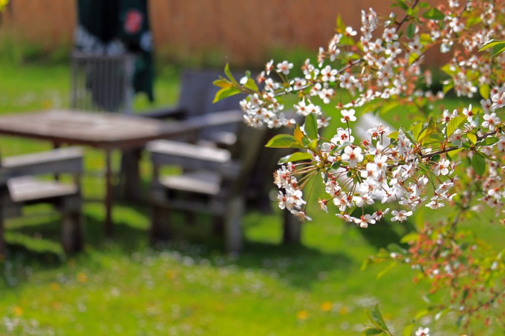 jardin zen avec fleurs blanches et mobilier minimaliste en arrière-plan