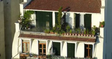 Intégrer des plantes sur son balcon