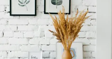 Les couleurs tendance