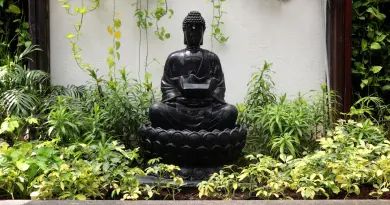 Terrasse zen minimaliste : aménager un balcon urbain a buddha statue sitting in the middle of a garden