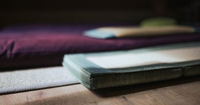 Futon pliable vs tatami amovible : le guide 2026