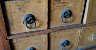 Meuble japonais ancien : authentique ou reproduction en brocante ?