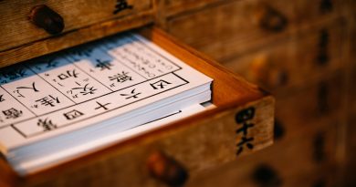 Tansu japonais : choisir et restaurer ce meuble pour petits espaces