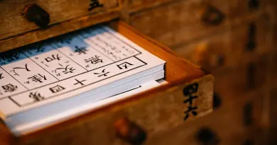 Tansu japonais : choisir et restaurer ce meuble pour petits espaces